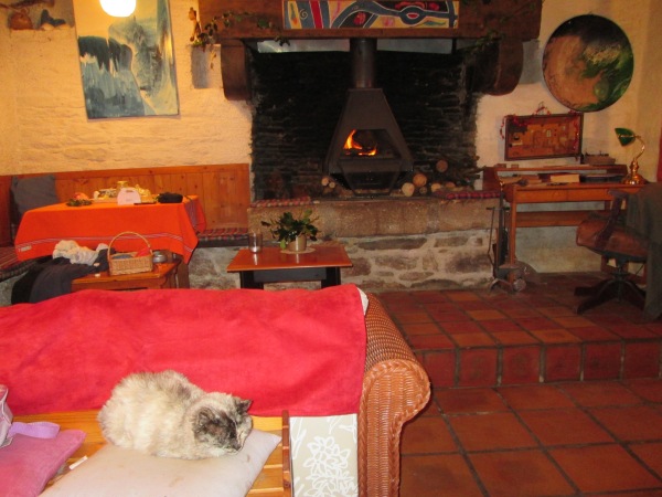 Coin du feu au chat dans le salon restauré. Noël 2014